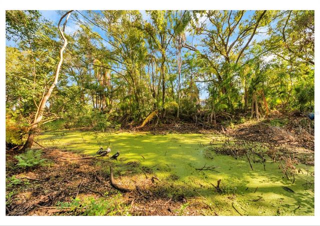 12805 FOREST HILLS DRIVE, Tampa, FL 33612