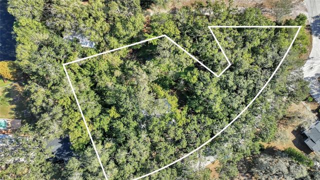 12805 FOREST HILLS DRIVE, Tampa, FL 33612