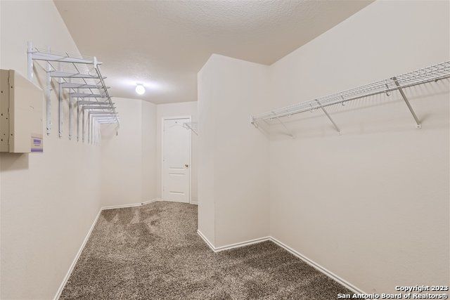 979 Calico, San Antonio, TX 78260