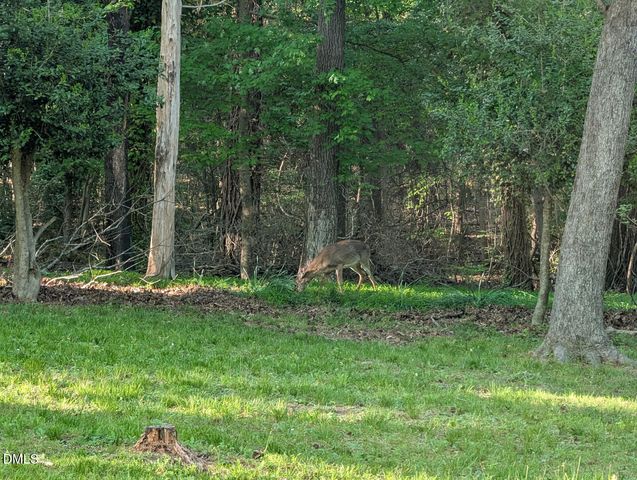 1202 Cassandra Drive, Durham, NC 27712