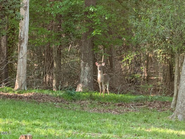 1202 Cassandra Drive, Durham, NC 27712