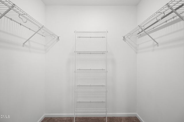 305 E Webber Lane, Clayton, NC 27527