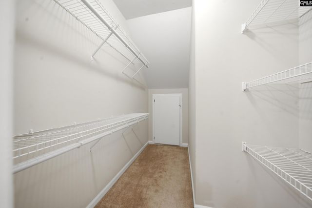 802 New Brookland Place 802, West Columbia, SC 29169