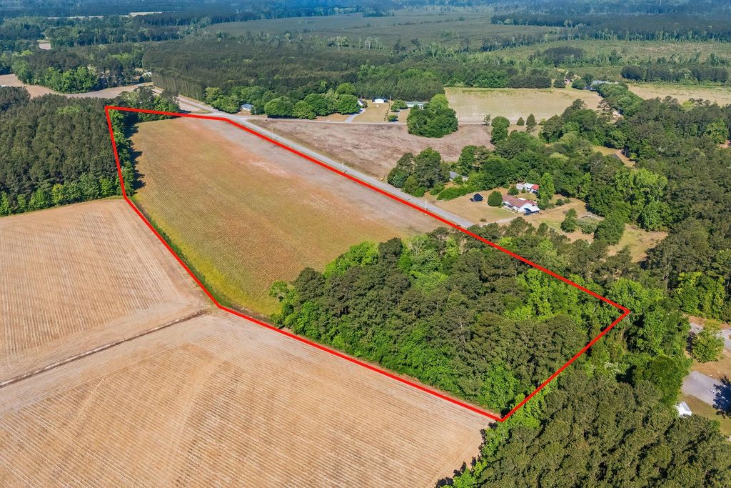 TBD Ray Rd., Hemingway, SC 29554 — photo 2