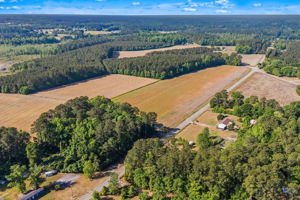 TBD Ray Rd., Hemingway, SC 29554 — photo 3