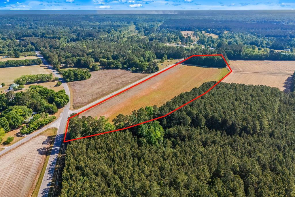 TBD Ray Rd., Hemingway, SC 29554 — photo 4