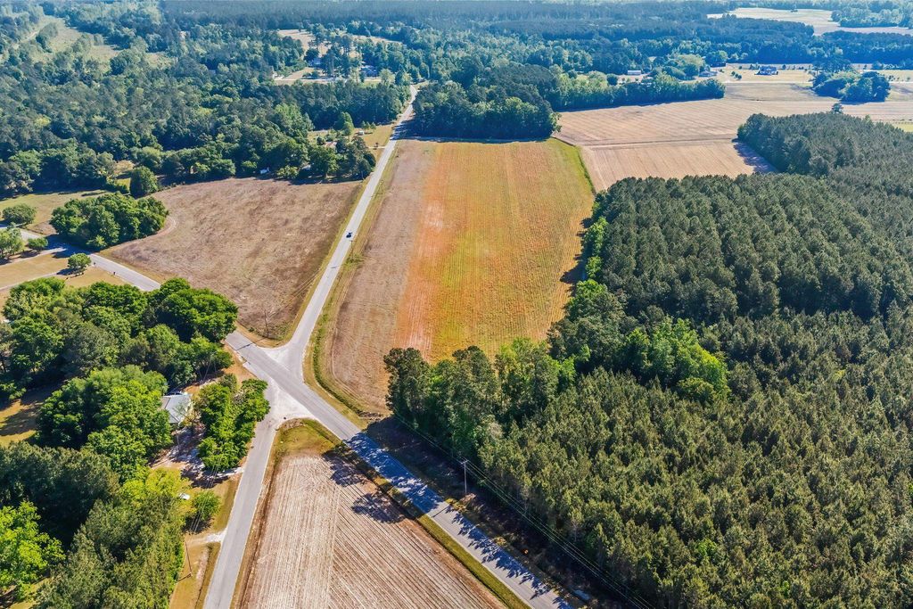 TBD Ray Rd., Hemingway, SC 29554 — photo 5