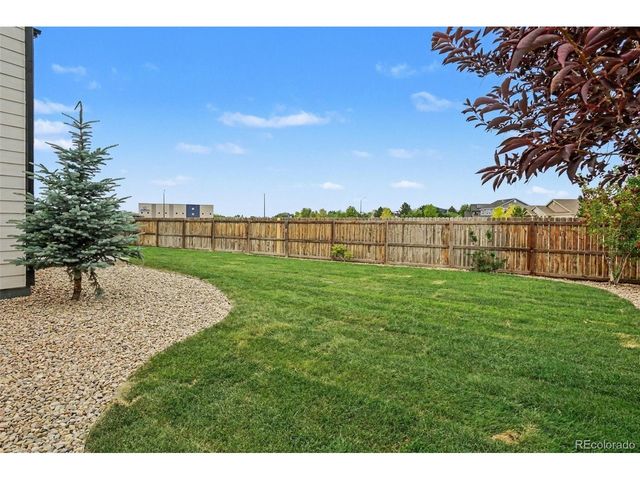 6601 Catalpa Ct, Frederick, CO 80530