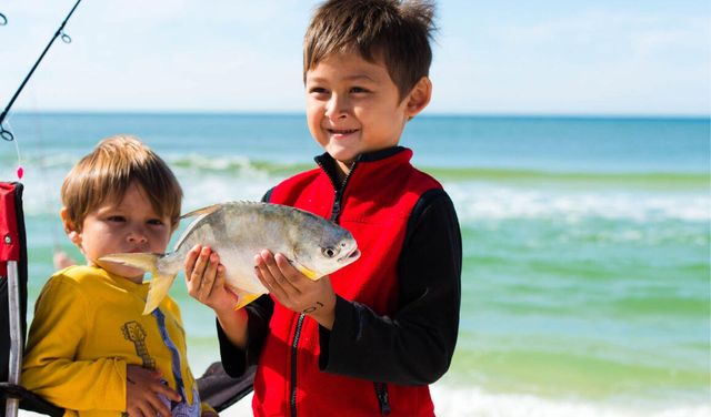 49 Sandy Dunes Circle, Miramar Beach, FL 32550