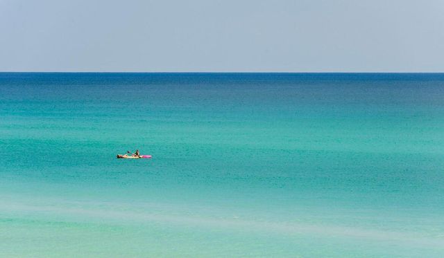 49 Sandy Dunes Circle, Miramar Beach, FL 32550