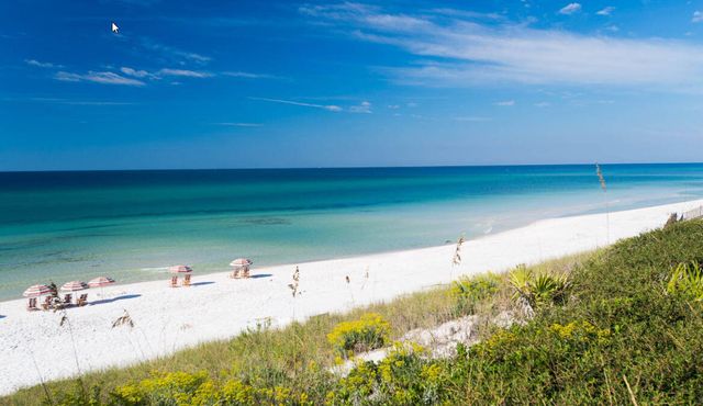 49 Sandy Dunes Circle, Miramar Beach, FL 32550