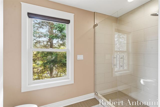 250 Shore Drive, Wayland, MI 49348