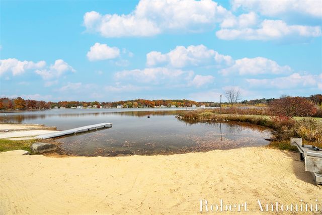 250 Shore Drive, Wayland, MI 49348