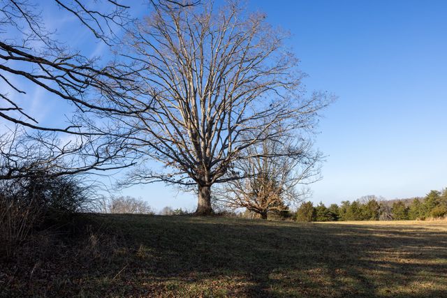 9978 Spencer Road, Mt Sterling, KY 40353