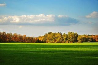 3220 N Hideaway Drive, Caledonia, MI 49316