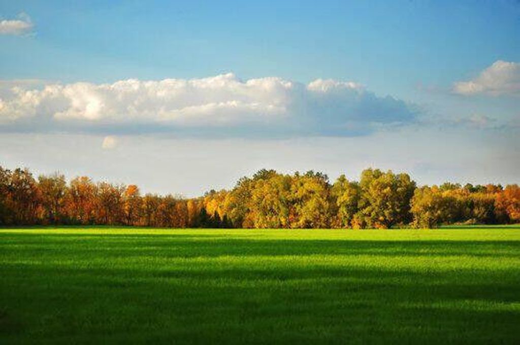 3220 N Hideaway Drive, Caledonia, MI 49316