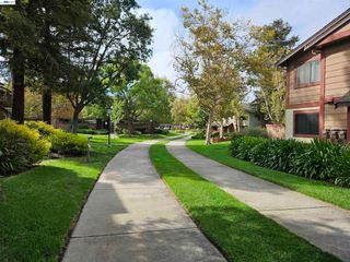 247 E Warren Cmn, Fremont, CA 94539