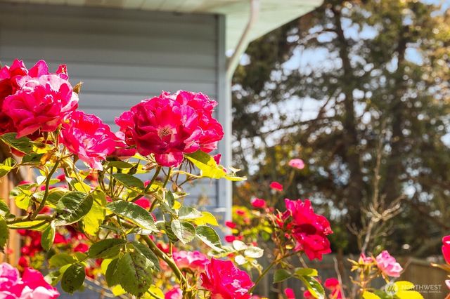 8132 208th Place SW, Edmonds, WA 98026