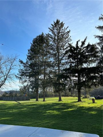 113 Olcott Road North, Big Flats, NY 14814