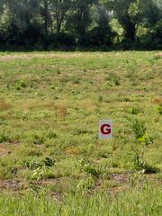 Stony Lake Road, Jackson, MI 49201