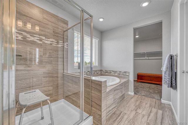 604 Silver Rock Trail, Castle Rock, CO 80104