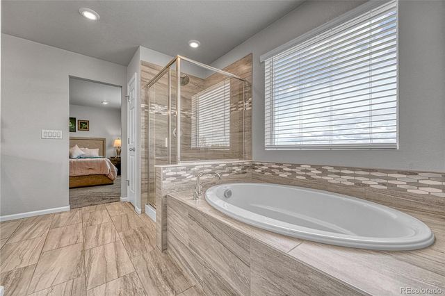 604 Silver Rock Trail, Castle Rock, CO 80104