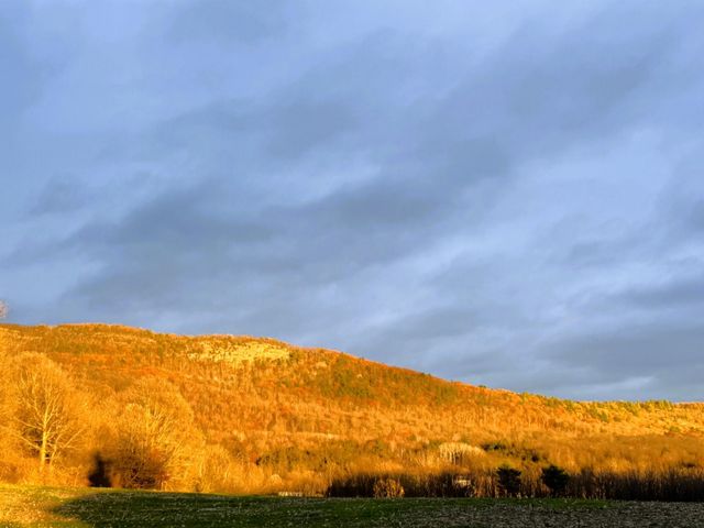 7323 VT Route 22A Highway, Addison, VT 05491