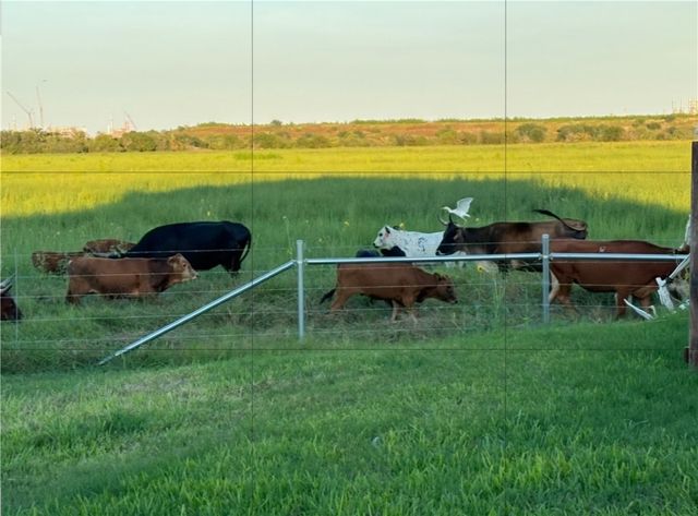 1051 Ocean Breeze St, Portland, TX 78374