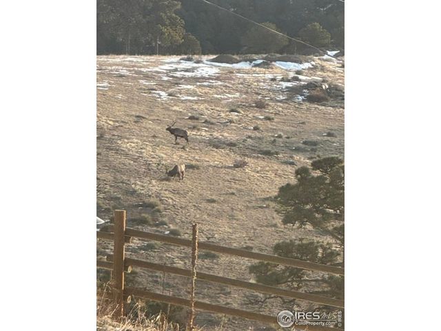 27033 Thea Gulch Rd, Golden, CO 80403