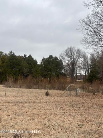 1560 Wilborne Road, Southaven, MS 38672