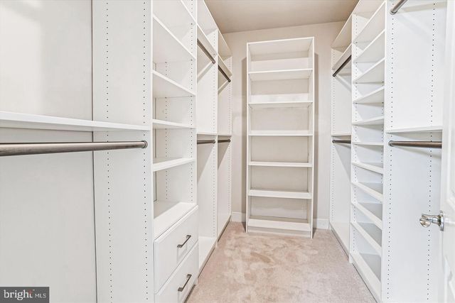 17787 WHITE CAMPION WAY, Dumfries, VA 22026