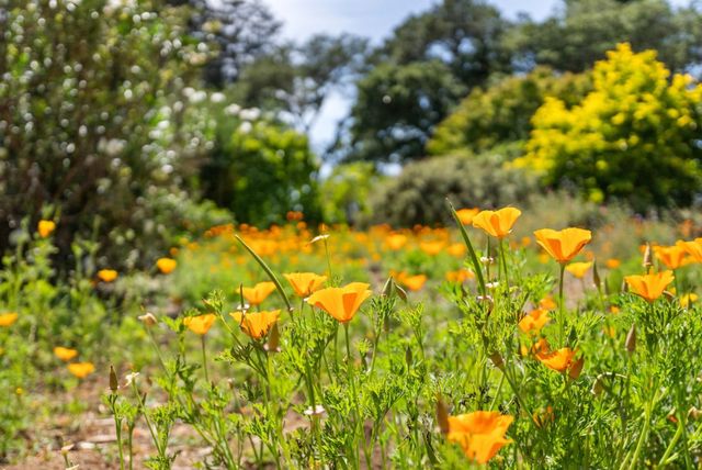 3929 Mainsail Place, Soquel, CA 95073