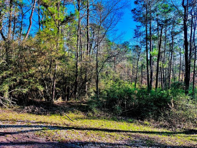 23 Wentworth Ln, Coldspring, TX 77331