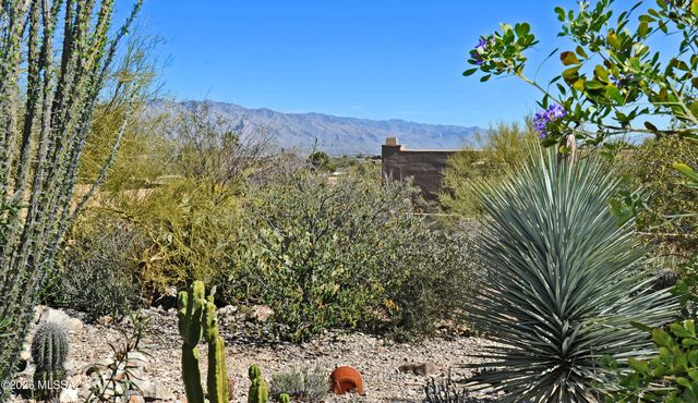 1504 N Desert Trumpet Court, Tucson, AZ 85745