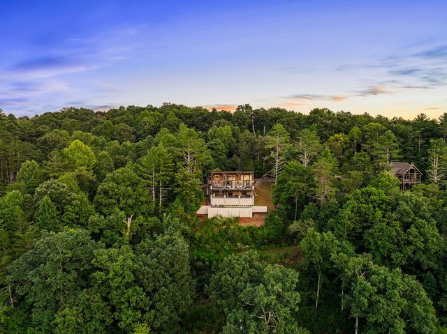 744 Bear Walk Road, Mineral Bluff, GA 30559