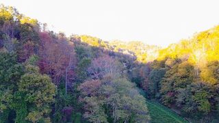 305 Moores Branch Road, Booneville, KY 41314