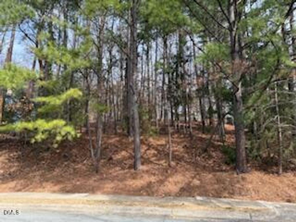 111 Bolinwood Drive, Chapel Hill, NC 27514