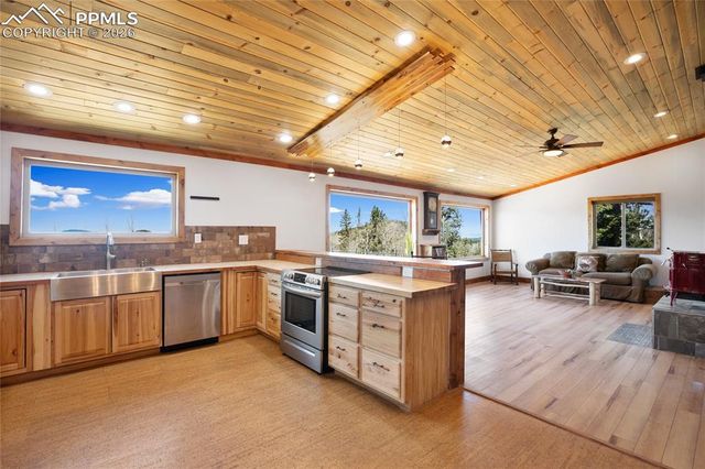 2747 County Road 61, Cripple Creek, CO 80813