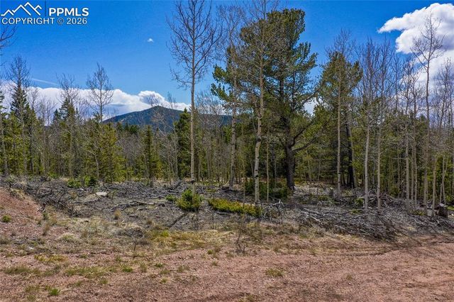 2747 County Road 61, Cripple Creek, CO 80813