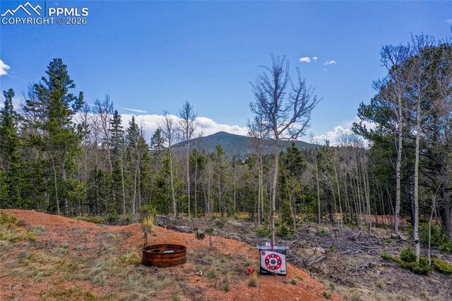 2747 County Road 61, Cripple Creek, CO 80813