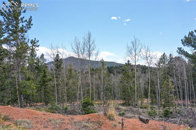 2747 County Road 61, Cripple Creek, CO 80813
