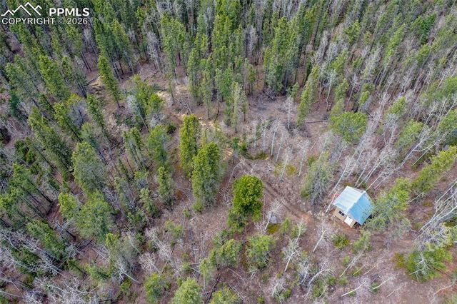2747 County Road 61, Cripple Creek, CO 80813
