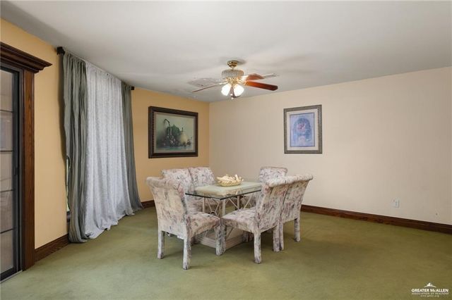 4523 S Tower Road, Alamo, TX 78516