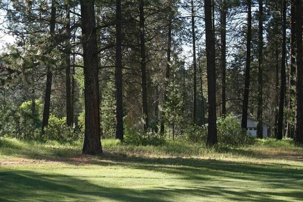 205 Eagle Dr, Chewelah, WA 99109