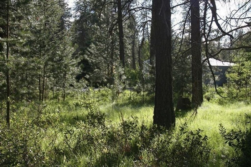 205 Eagle Dr, Chewelah, WA 99109 photo 3