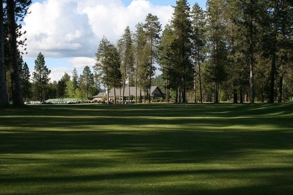 205 Eagle Dr, Chewelah, WA 99109 photo 4