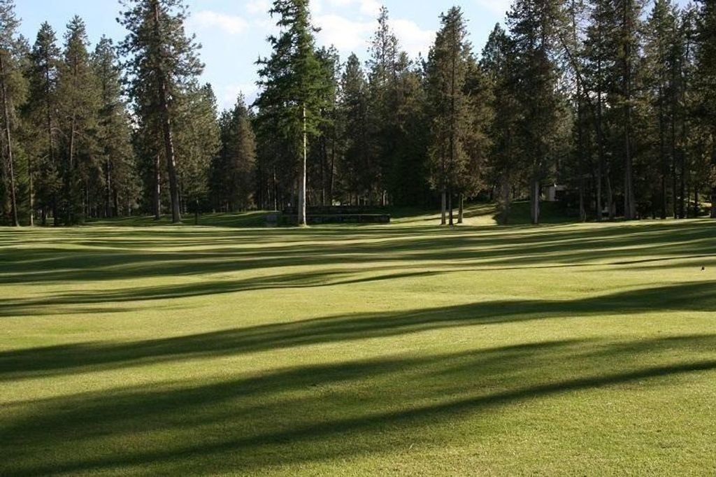 205 Eagle Dr, Chewelah, WA 99109 photo 5