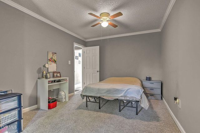 2021 Windsor Avenue, Bristol, TN 37620