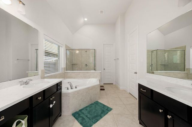 419 Amistad Court, Webster, TX 77598
