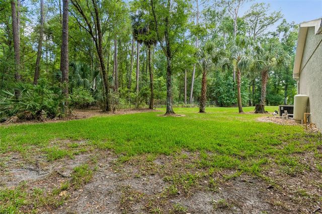 27708 SANTA ANITA BOULEVARD, Wesley Chapel, FL 33544
